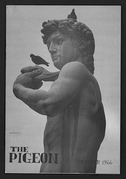 cover of an edition of The Pigeon
